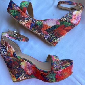 Multicolored Wedges 10